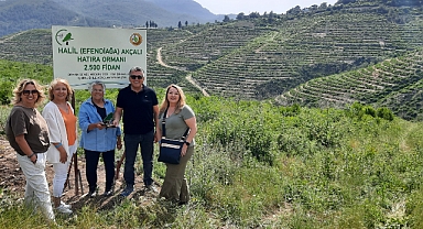 Akçalı Ailesi adına 2500 fidan yeşerecek…