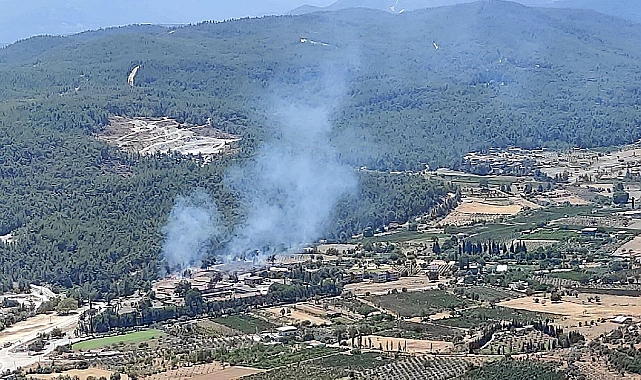İzmir'de 2 ayrı noktada çıkan yangınlar kontrol altına alındı