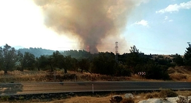 Dikili'de tarım alanında yangın