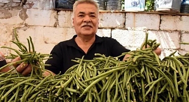 Torbalı'da incirin ardında bu defa da börülce için festival