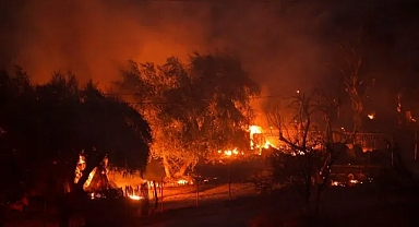 ABD'nin batısında orman yangıları: 4 ölü