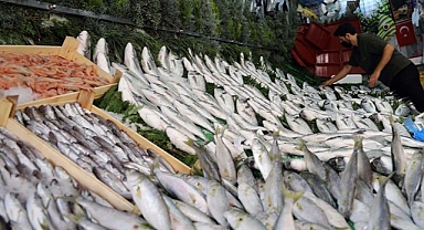 Av yasağı bitti, balık fiyatları indi