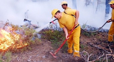 Beko: Orman işçilerine kadro verilmemesi Anayasanın eşitlik ilkesine aykırı