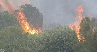 Foça'da korkutan yangın!