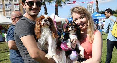 Hayvanseverler 'Karşıyaka Patiyaka Şenliği'nde buluşacak