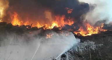 İzmir'de orman yangını!
