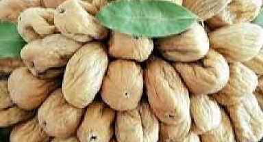 Kuru incir için hedef 70 ton