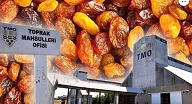 Kuru üzümün alım kapasitesi artacak: Günlük 2 bin ton üzerinde alım