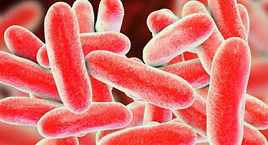 Legionella kabusu: 6 kişi hayatını kaybetti
