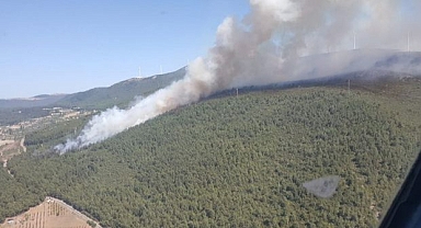 Manisa'da 60 hektar orman kül oldu