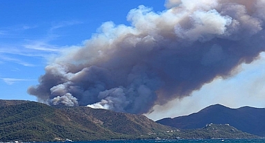 Marmaris'te orman yangını başladı