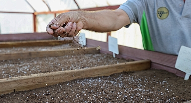 Tohumlar fidana, fidanlar yeşil Buca’ya dönüşüyor