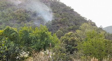 Tokat’ta ormanlık alanda yangın