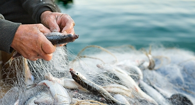 Türkiye’nin su ürünleri ihracatının zirvesinde Muğla ve İzmir var 
