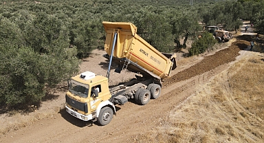 Zeytinlikler arası yollar hasata hazır