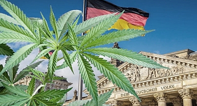 Almanya'da keyif amaçlı esrar kullanımı yasallaşma yolunda 