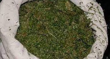 Belediyenin aracından 144 kilo esrar çıktı 