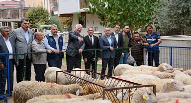 Beydağ'da küçükbaş hayvan dağıtımı gerçekleşti 