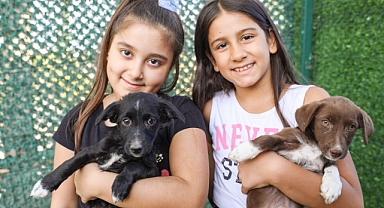 Bucalı miniklere hayvan sevgisi aşıladılar