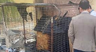 Diri diri yakılarak öldürülmüştü: Seferihisar'da yaşanan korkunç olayda yeni gelişme 