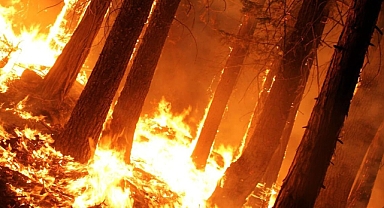 İzmir'de korkutan yangın: Ekiplerin müdahalesi sürüyor 