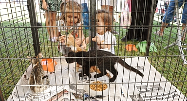 Karşıyaka’da can dostlara sıcak yuva aranıyor