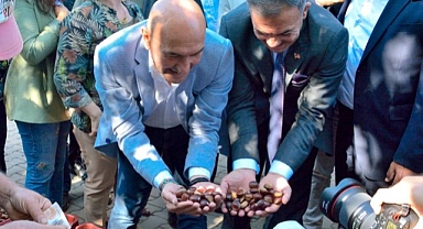 Beydağ, Çomaklar’daki Kestane Festivali ile şenleniyor