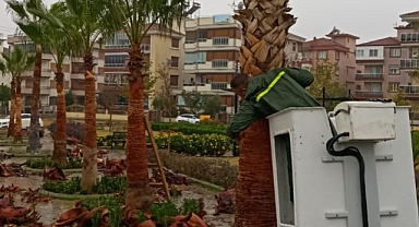 Eğitim Şehitleri Parkı’ndaki palmiyeler için örnek duyarlılık 