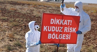 Kars'ta bir köy kuduz nedeniyle karantinaya alındı