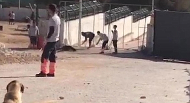 Köpeğe kürekle vurarak öldürmüştü: O şahsın ifadesine ulaşıldı 