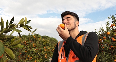 LÖSEV Satsuma mandalinası satışı başladı, her diliminde hayat var