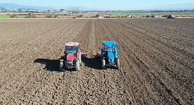 Torbalı Belediyesi, tarlalarına buğday ekti
