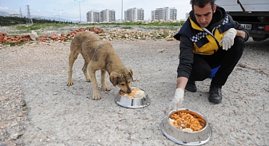 Buca’da can dostları sahipsiz değil