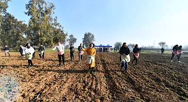 İzmir’de Yaşar Üniversitesi öğrencileri karakılçık ekiminde