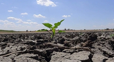 Döngü Kooperatifi “İklim Krizi ve Tarıma Etkileri” eğitimi