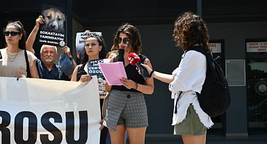 İzmir Barosundan 'Sokak hayvanları sahiphsiz değildir